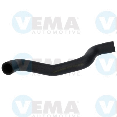 Radiator Hose (VE54996)