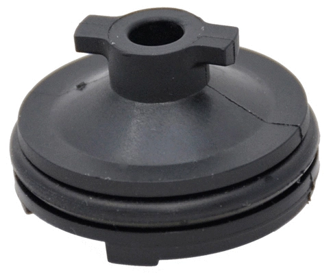 Screw Plug, oil sump (309001)