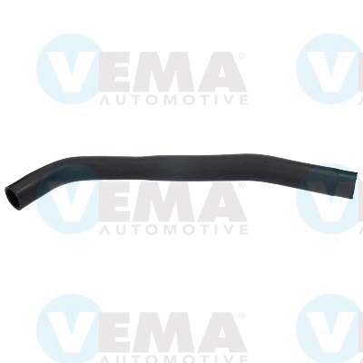 Radiator Hose (VE55242)
