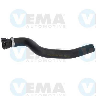 Radiator Hose (VE54999)