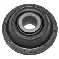 Mounting, control/trailing arm (20877)