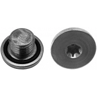 Screw Plug, oil sump (363)