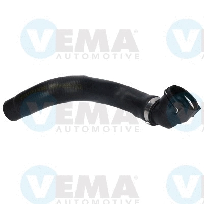 Radiator Hose (VE54819)