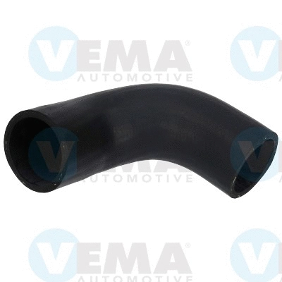 Charge Air Hose (VE55516)