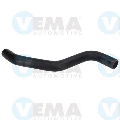 Radiator Hose (VE54592)