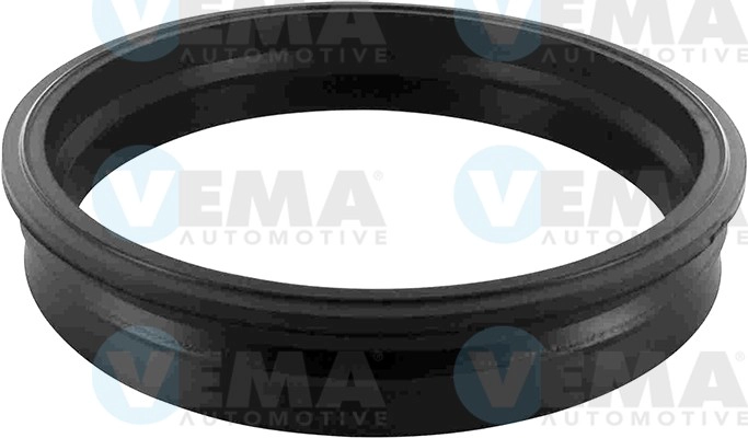 Seal, fuel filler neck (760007)