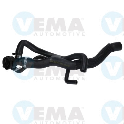 Radiator Hose (VE55196)