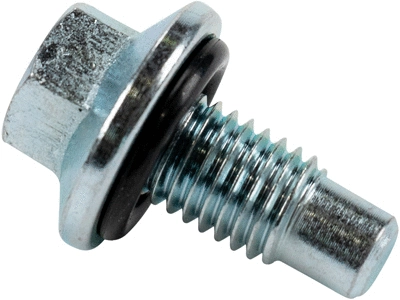Screw Plug, oil sump (309007)
