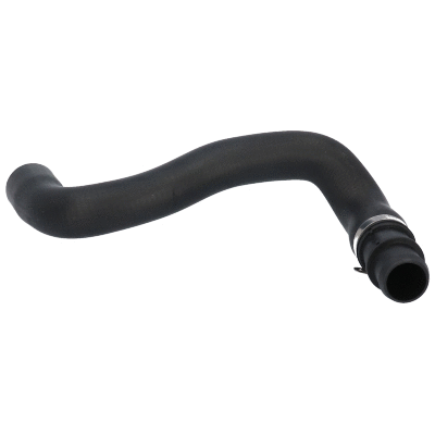 Radiator Hose (VE55419)