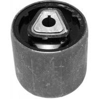 Mounting, control/trailing arm (21092)
