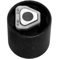 Mounting, control/trailing arm (21117)