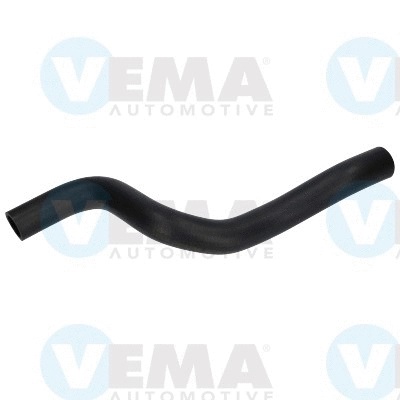 Radiator Hose (VE54986)