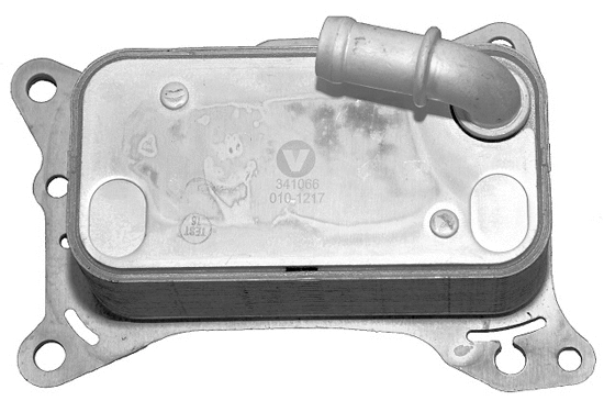 Oil Cooler, engine oil (341066)