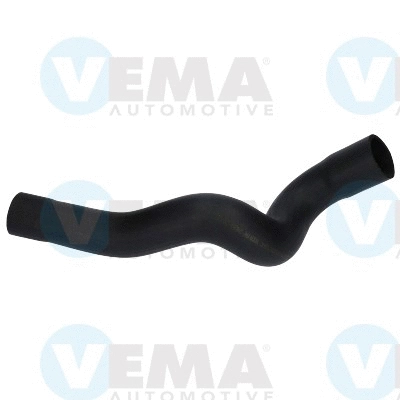 Charge Air Hose (VE55524)