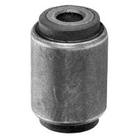 Mounting, control/trailing arm (23923)