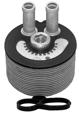 Oil Cooler, engine oil (341111)