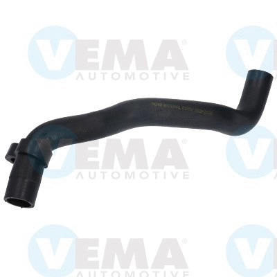 Radiator Hose (VE54649)