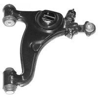 Control/Trailing Arm, wheel suspension (16060)