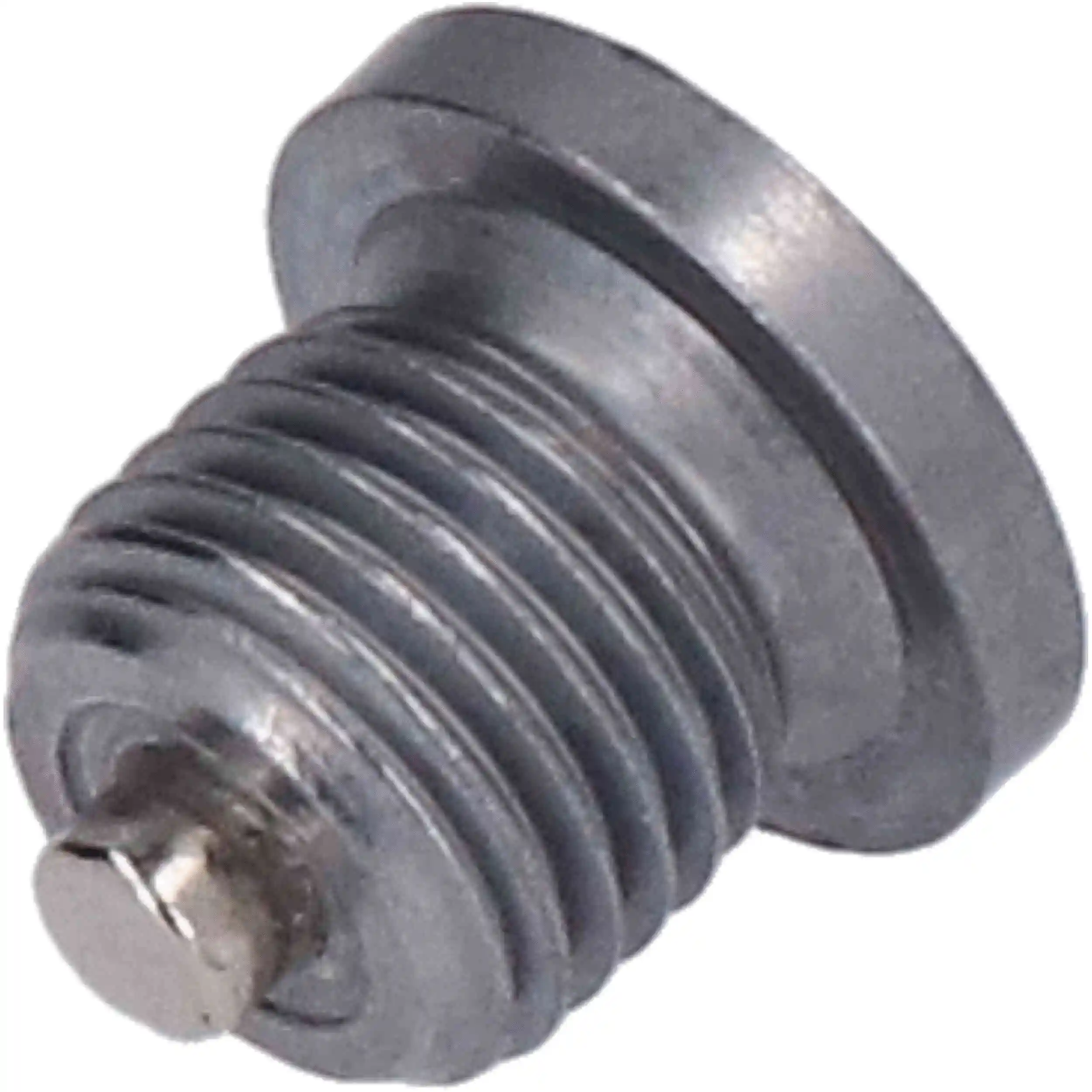 Screw Plug, oil sump (309013)