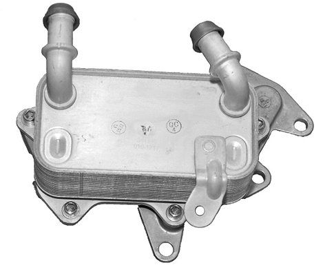 Oil Cooler, engine oil (341146)