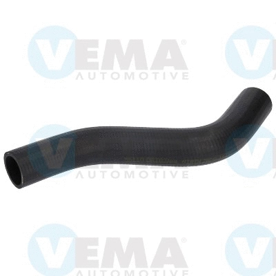 Radiator Hose (VE55110)