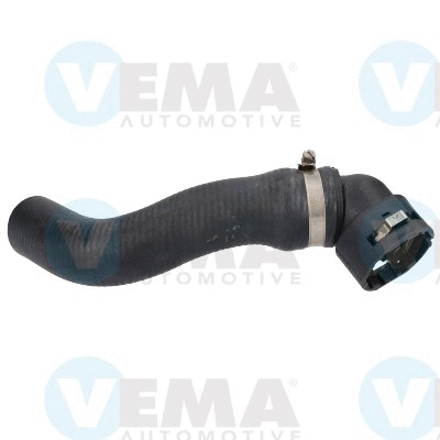 Radiator Hose (VE55319)
