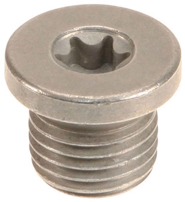 Screw Plug, oil sump (309010)
