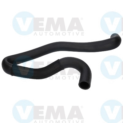 Radiator Hose (VE55238)