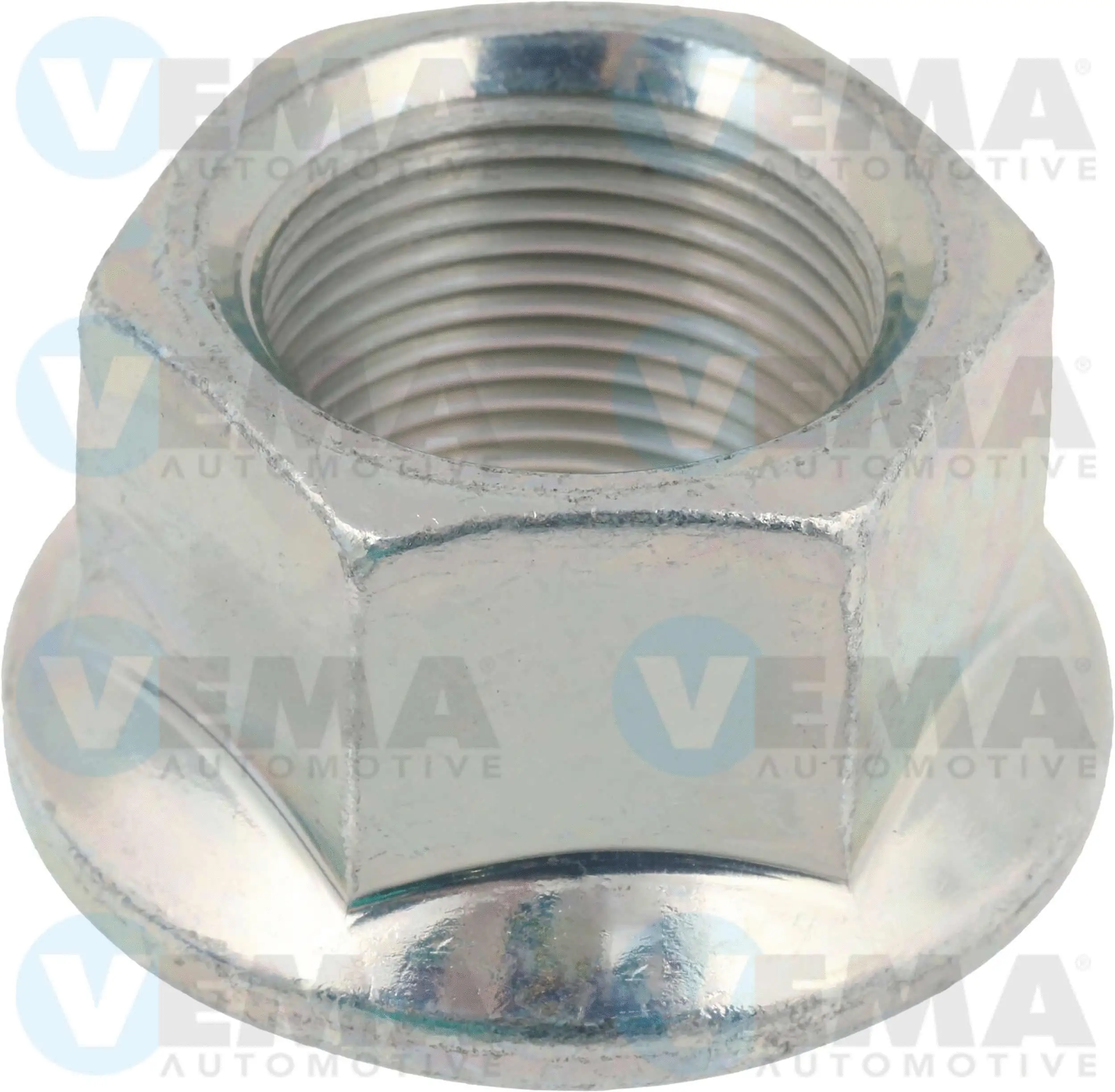 Nut, stub axle (202001)