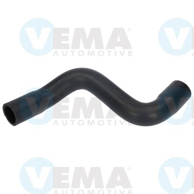 Radiator Hose (VE55224)