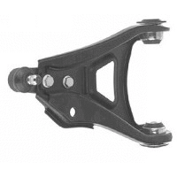 Control/Trailing Arm, wheel suspension (16027)