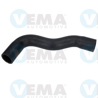 Radiator Hose (VE54858)