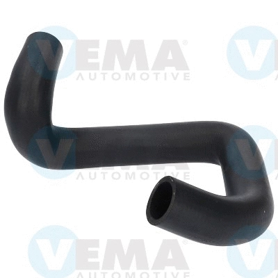 Radiator Hose (VE54955)