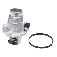 Coolant Flange (VE80209)