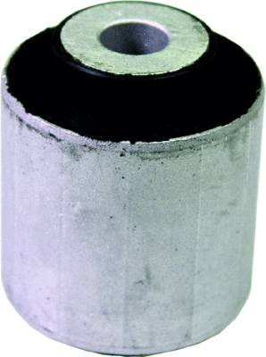 Mounting, control/trailing arm (210025)