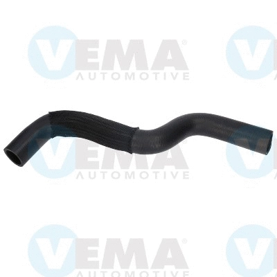 Radiator Hose (VE54599)