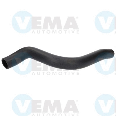 Radiator Hose (VE55244)