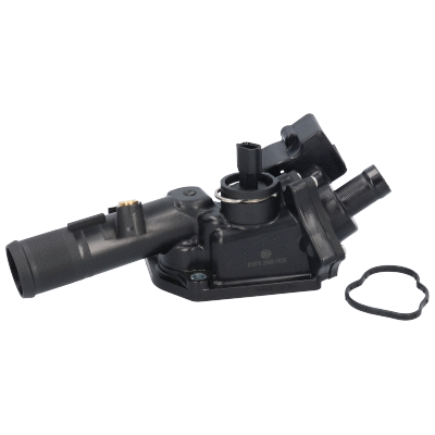 Coolant Flange (VE81075)