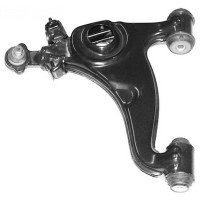Control/Trailing Arm, wheel suspension (16061)