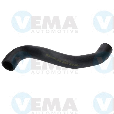 Radiator Hose (VE55220)