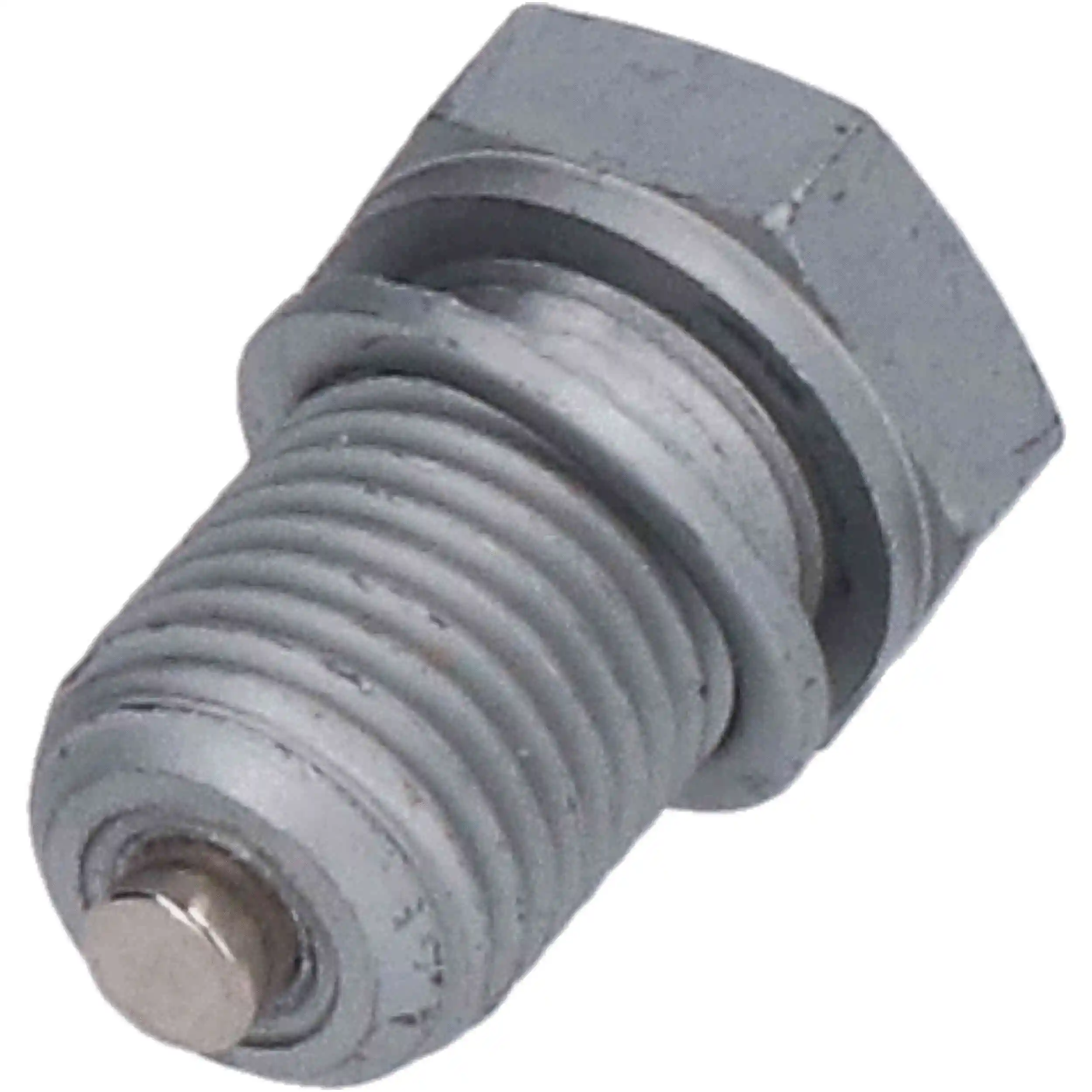 Screw Plug, oil sump (309014)
