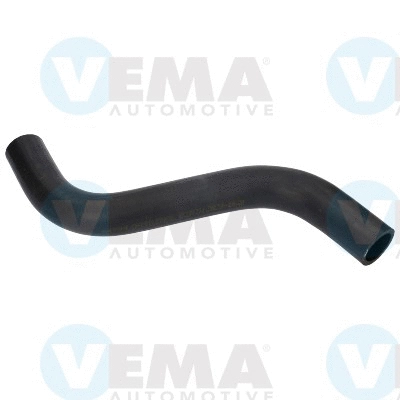 Radiator Hose (VE54794)