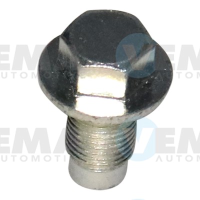 Screw Plug, oil sump (309023)
