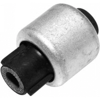Mounting, control/trailing arm (21091)