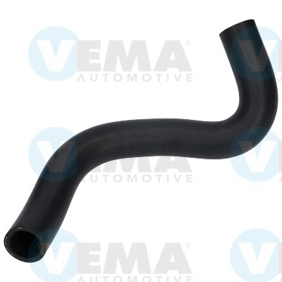 Radiator Hose (VE55134)