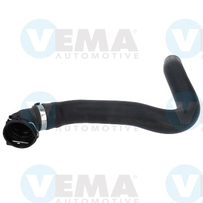 Radiator Hose (VE54547)