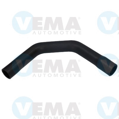 Radiator Hose (VE55263)