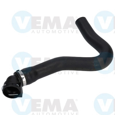 Radiator Hose (VE54544)