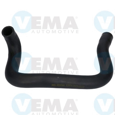 Radiator Hose (VE54891)