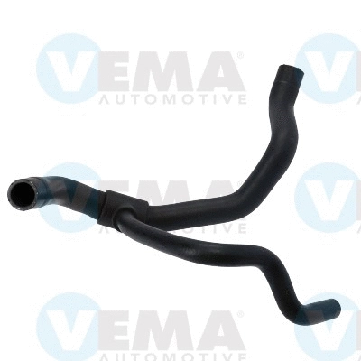 Radiator Hose (VE54596)